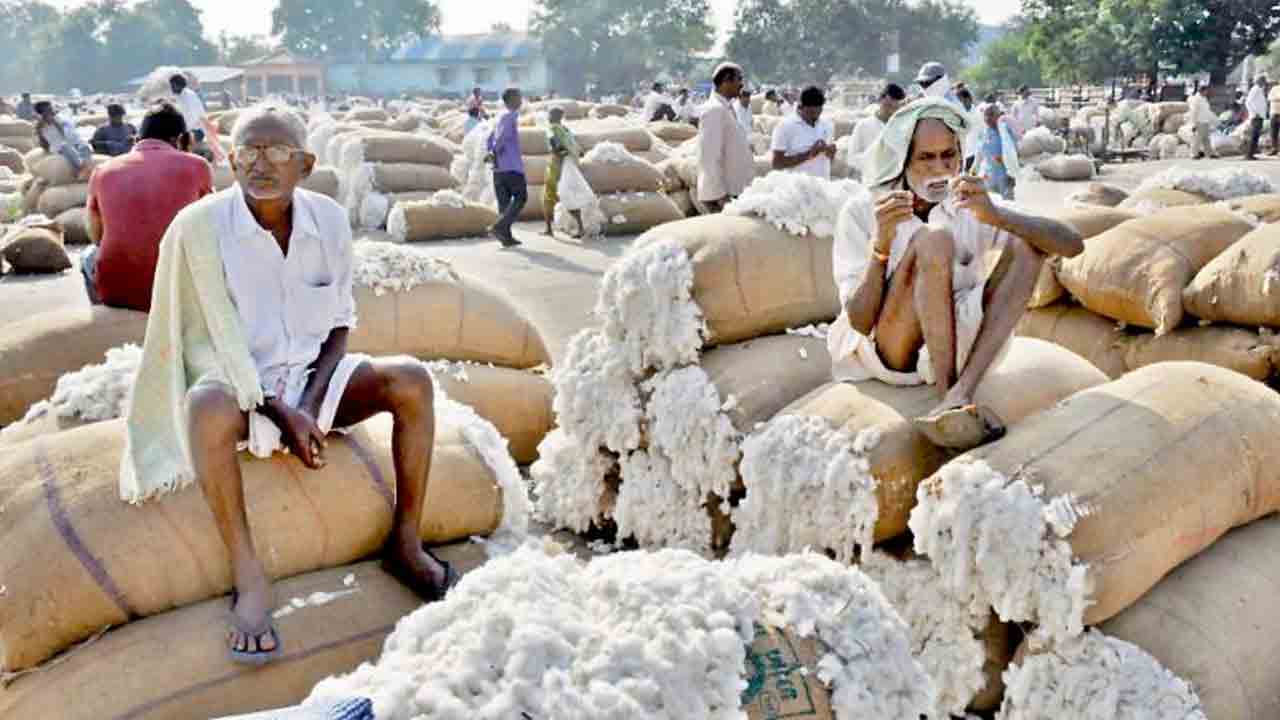 పత్తికి రికార్డు ధర.. నర్సంపేటలో క్వింటాకు 9,120