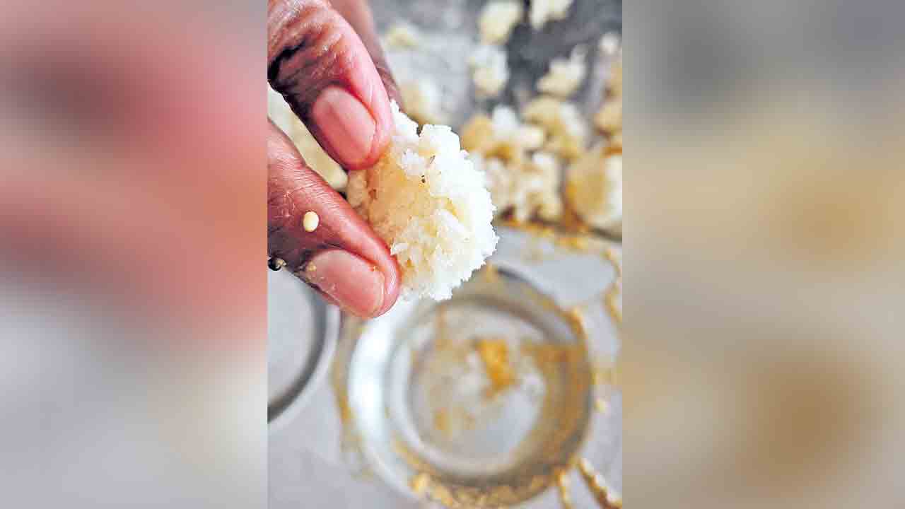 ఎంపీడీవోల అల్పాహారంలో పురుగులు
