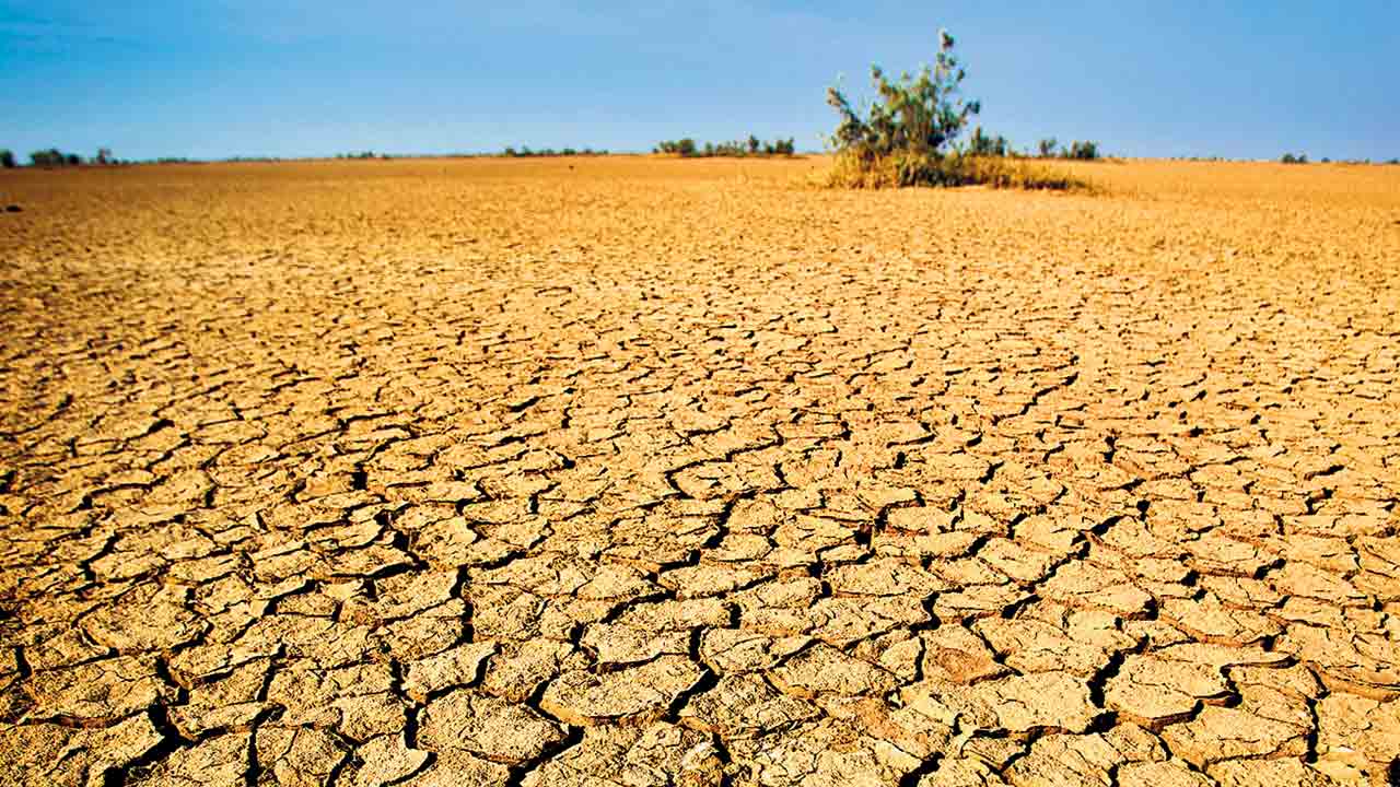 పాతాళానికి జలాలు.. ఎండిపోతున్న భూమి