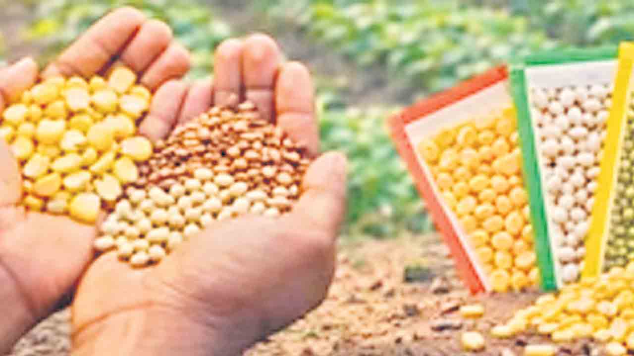 1.62 లక్షల ఎకరాలకే విత్తనాలు