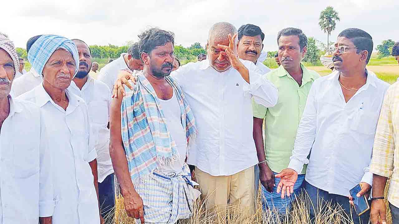 జూరాల ఆయకట్టుకు నీళ్లియ్యండి