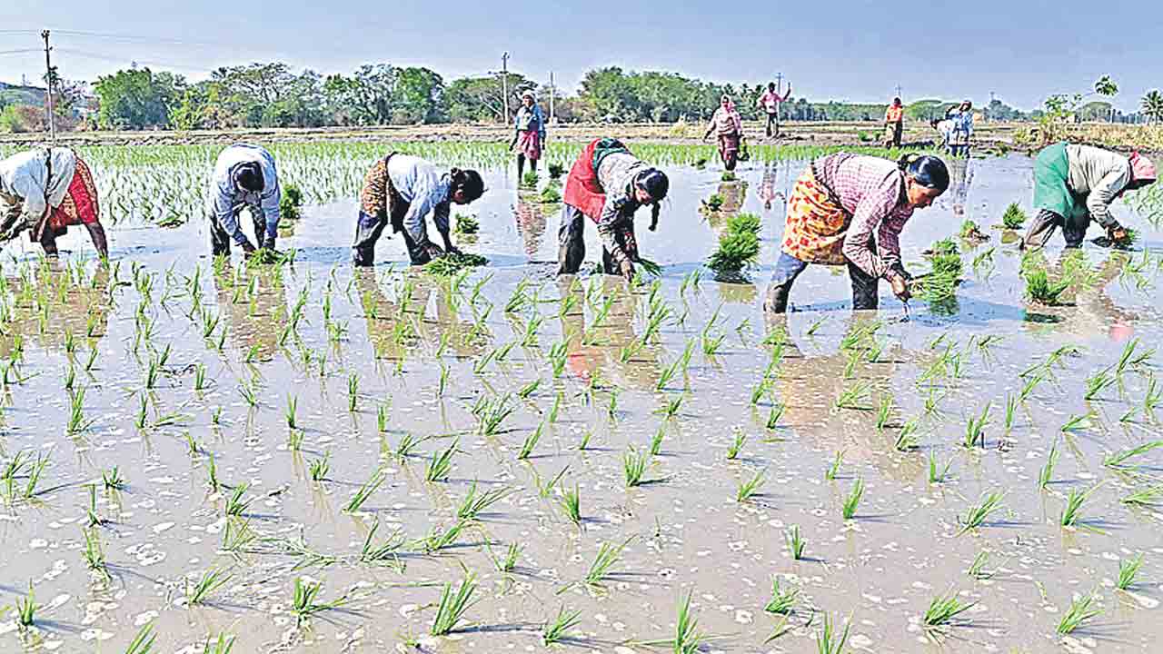ఇది రైతులను అవమానించడమే!