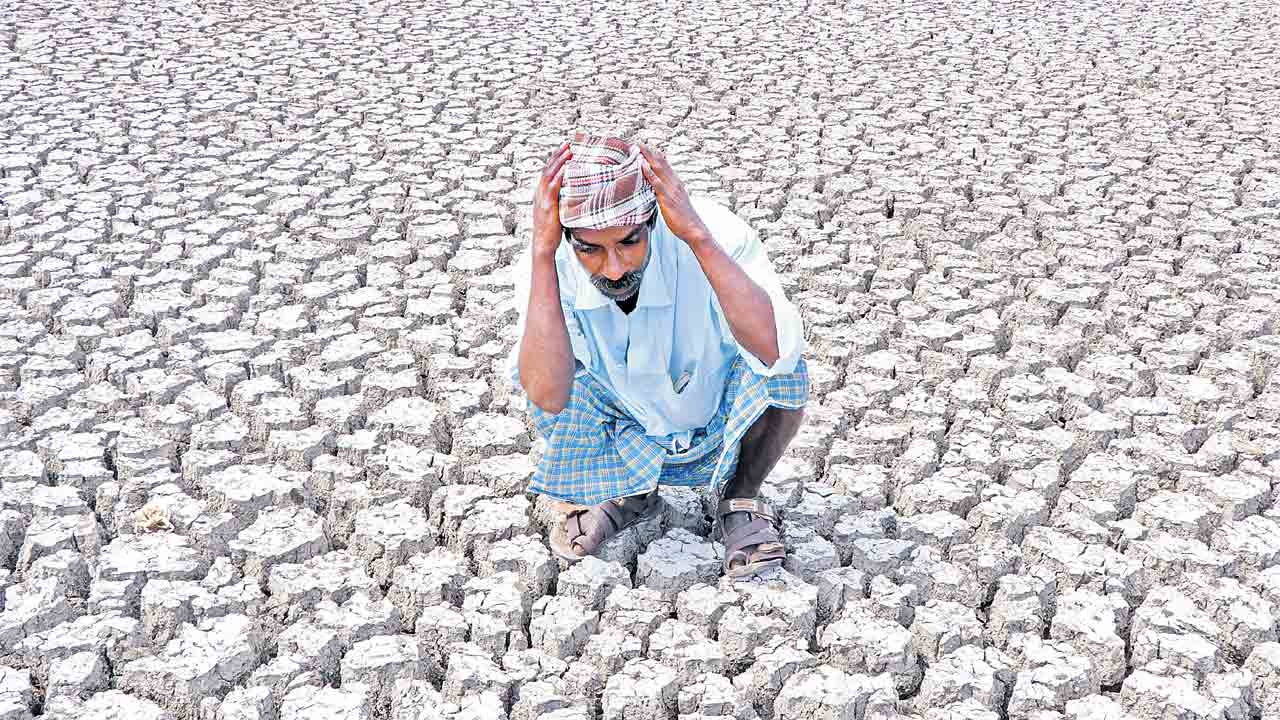 18 జిల్లాలు.. 331 మండలాల్లో తీవ్ర కరువు!