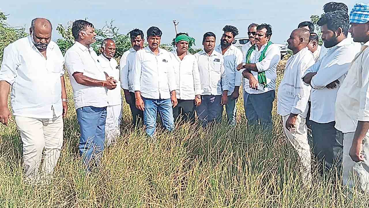 సర్కార్‌ నిర్లక్ష్యంతోనే కరువు