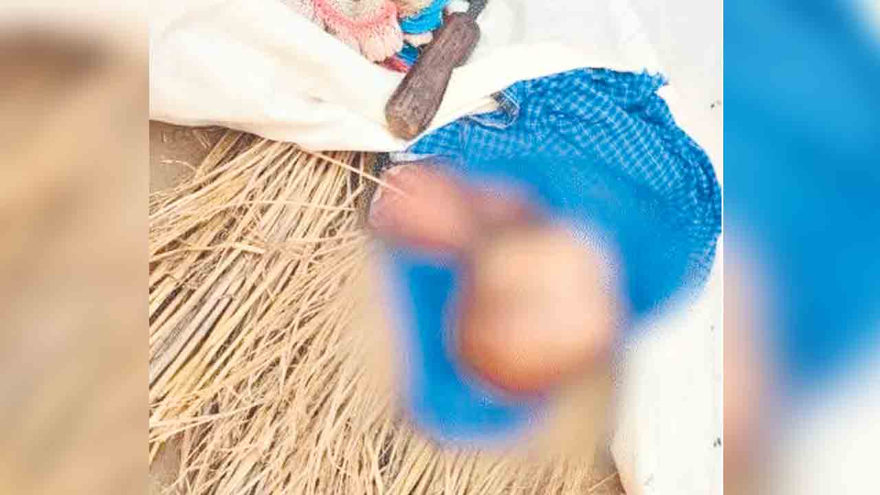 పసివాడిని బలిచ్చిన అన్న.. బీహార్‌లో అమానుష ఘటన