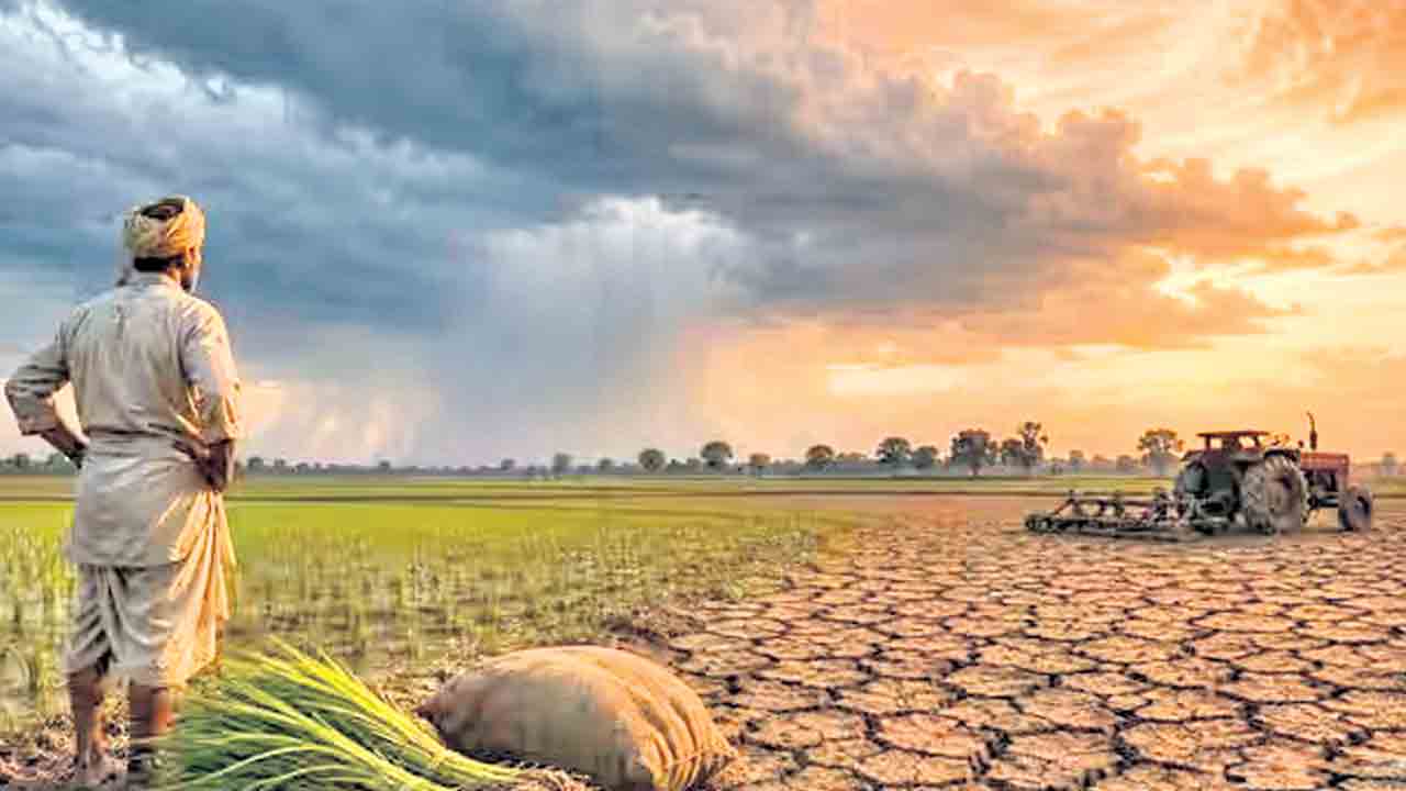 బలహీన రుతుపవనాలతో భారత్‌ విలవిల