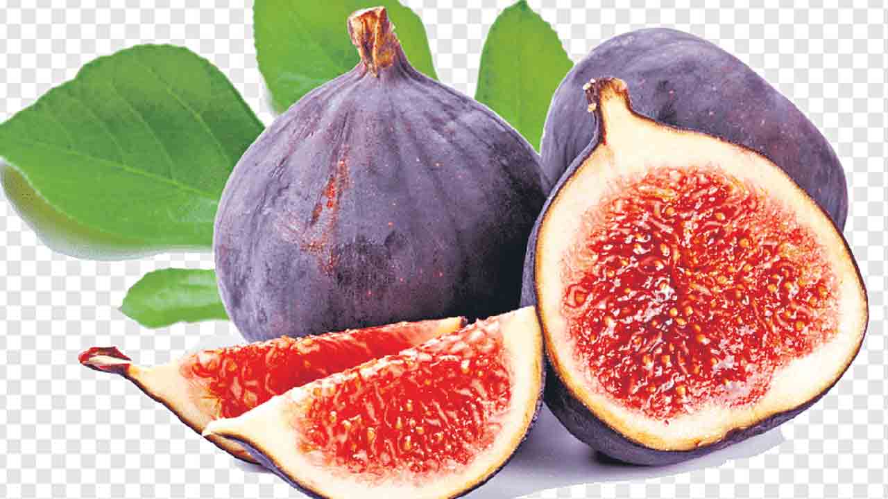పోషకాల అంజీర్‌..