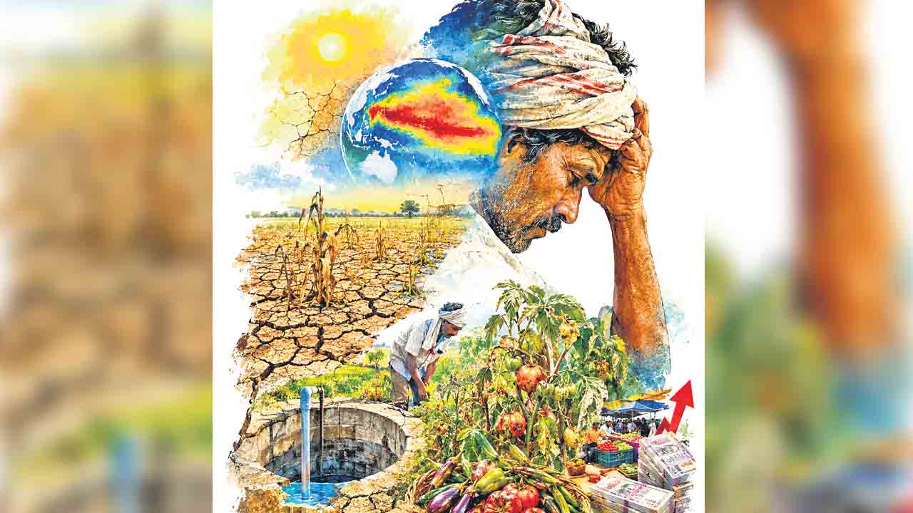 యాసంగిపైనా ఎల్‌నినో ప్రభావం