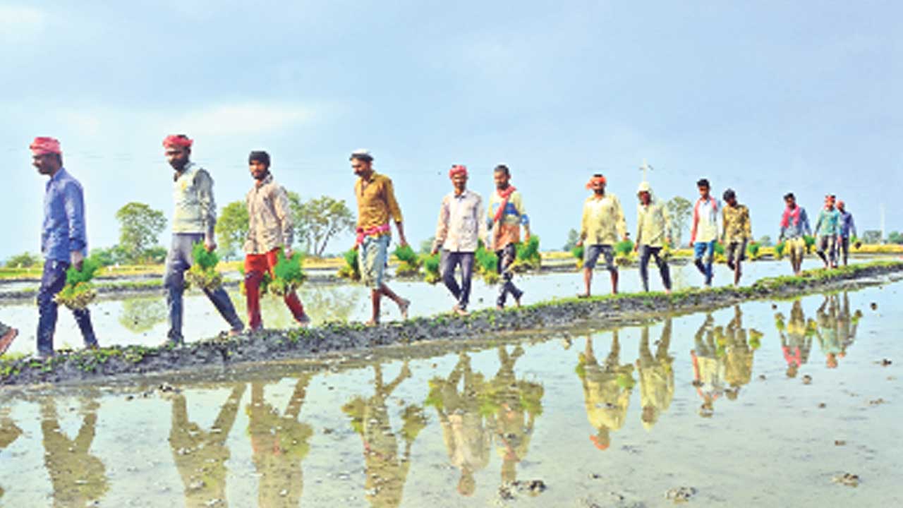Agri