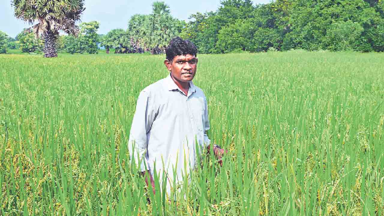 ఈ జవాన్‌.. జై కిసాన్‌