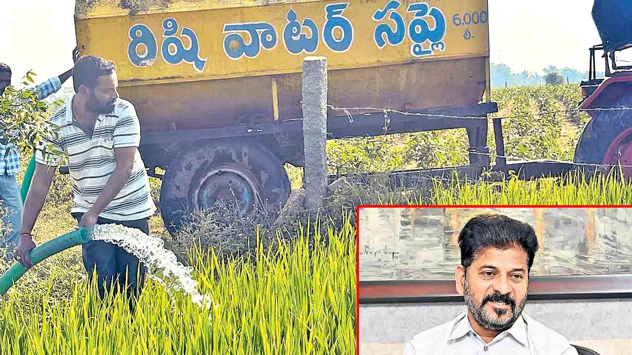 క్రాప్‌ హాలిడే?.. యాసంగి సాగుకు సెలవే!.. చేతులెత్తేసిన రేవంత్‌ సర్కార్‌
