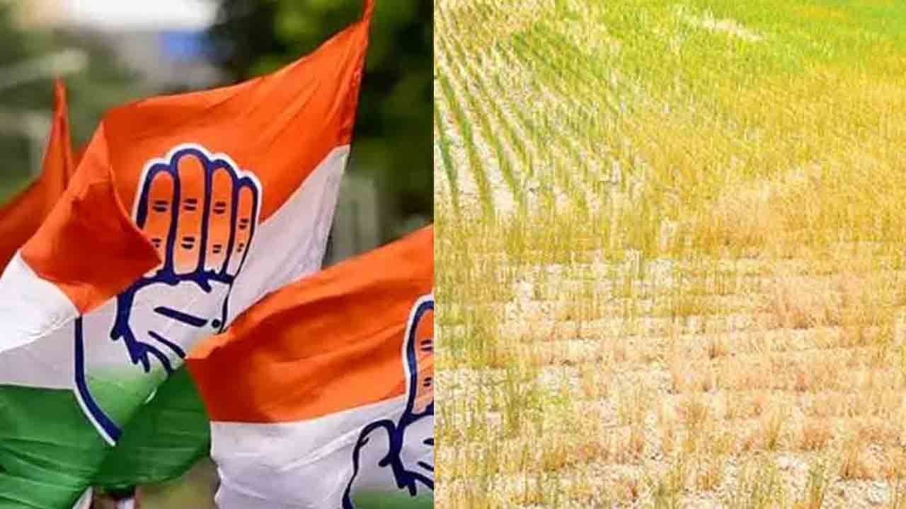 సాగు ఆగమాగం
