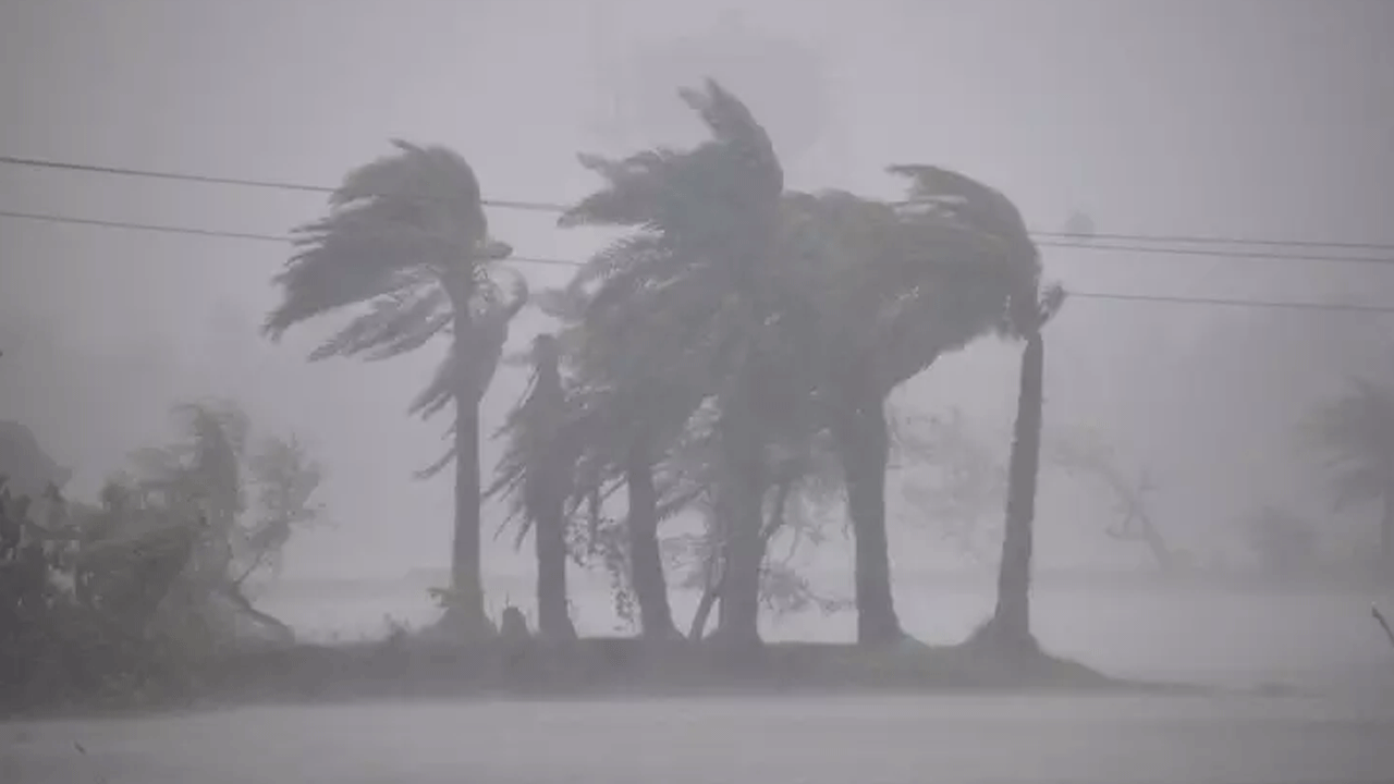 Cyclone Arnab | తీరాన్ని తాక‌క‌ముందే ఉత్త‌రాంధ్ర జిల్లాల‌ను ఉక్కిరిబిక్కిరి చేస్తున్న అర్నాబ్ తుపాను..!