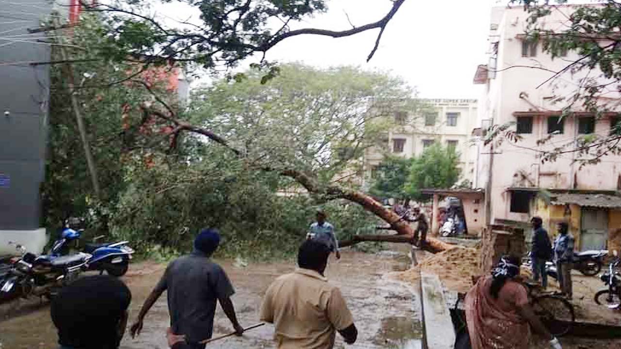 Cyclone Arnab | ఏపీలో అర్నబ్‌ బీభత్సం.. పలు జిల్లాలో ఏడుగురు మృతి