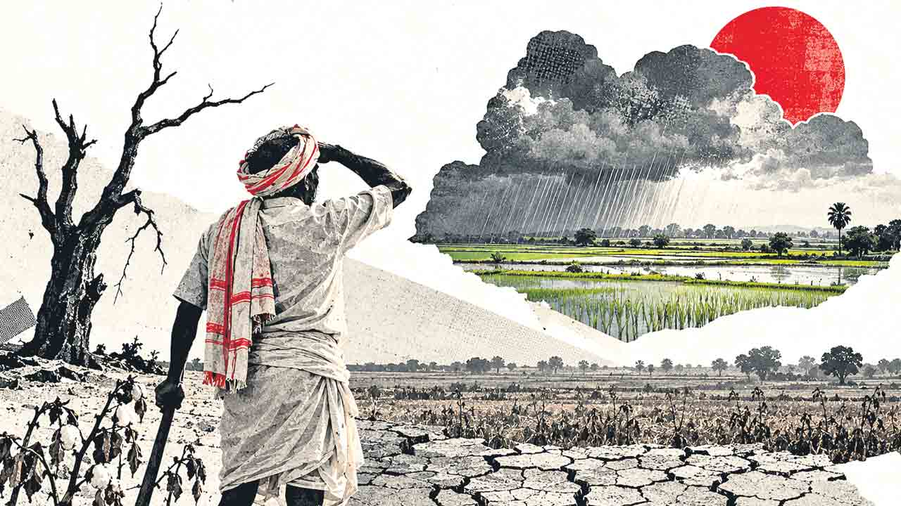 ఏ చేను చూసినా ఏమున్నది ఆశ!