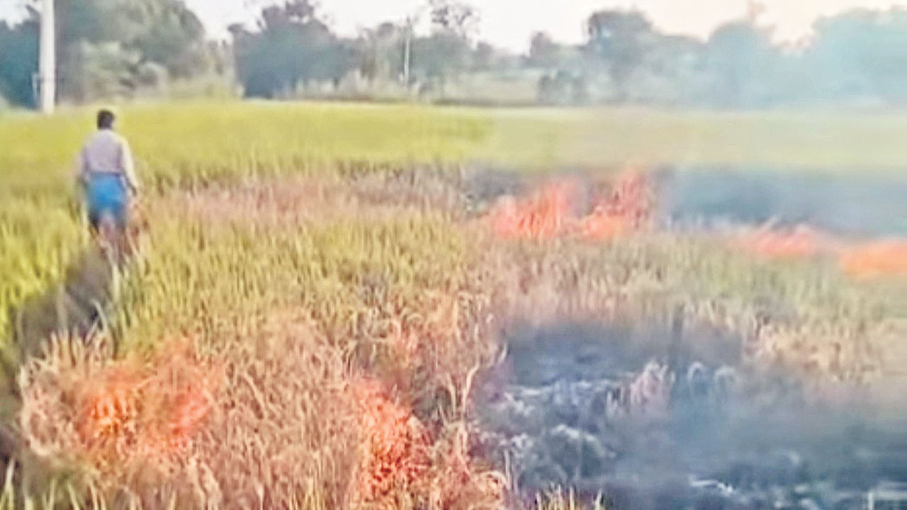 కరెంట్‌ ఎన్ని గంటలు ఇస్తరో చెప్పండి