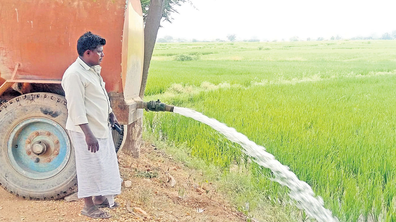 పంటలు ఎండిపోతున్నా పట్టింపు లేదా?