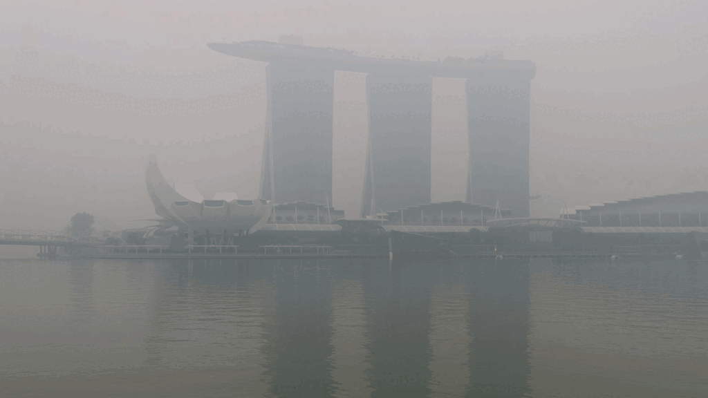 Fog