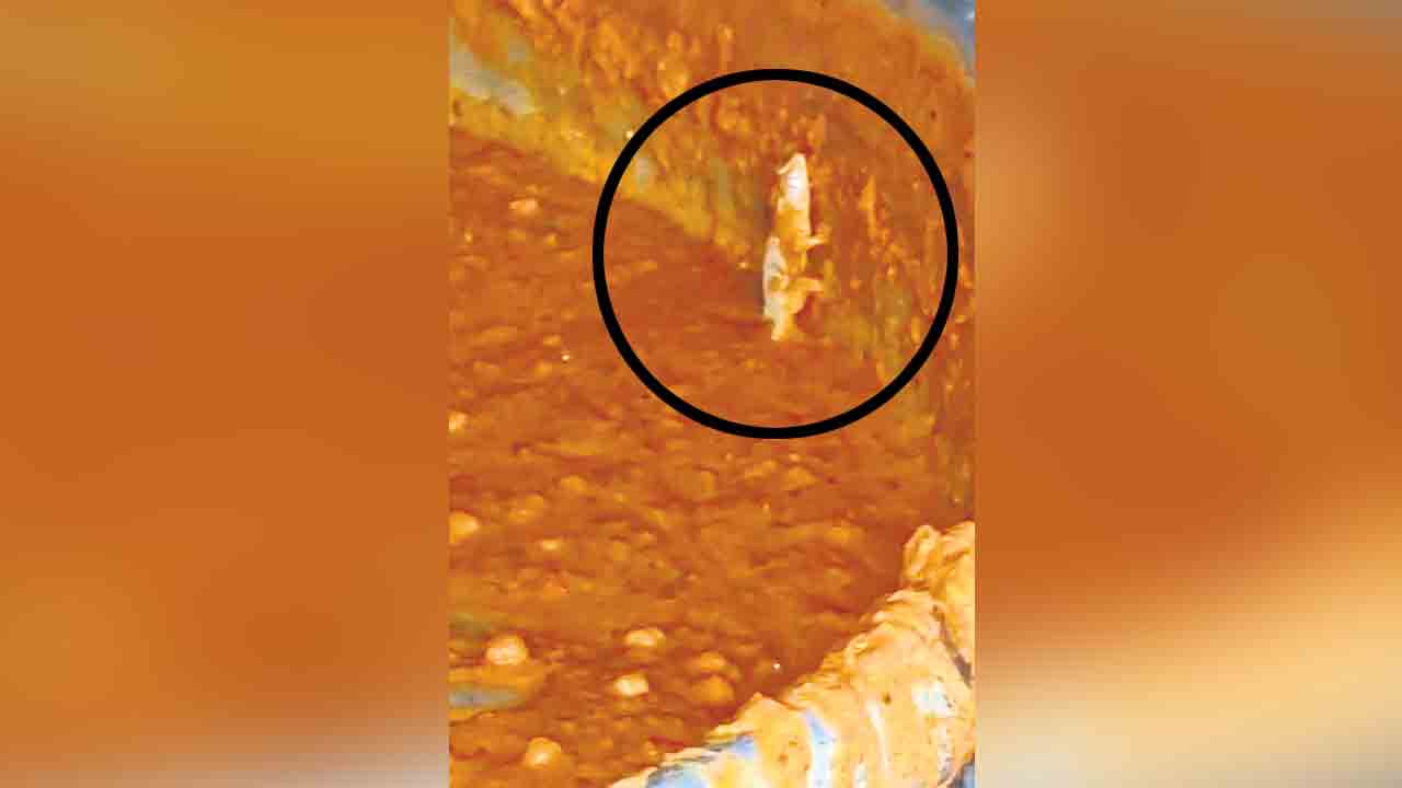 కూరలో బల్లి.. జేఎన్‌టీయూలో కలకలం