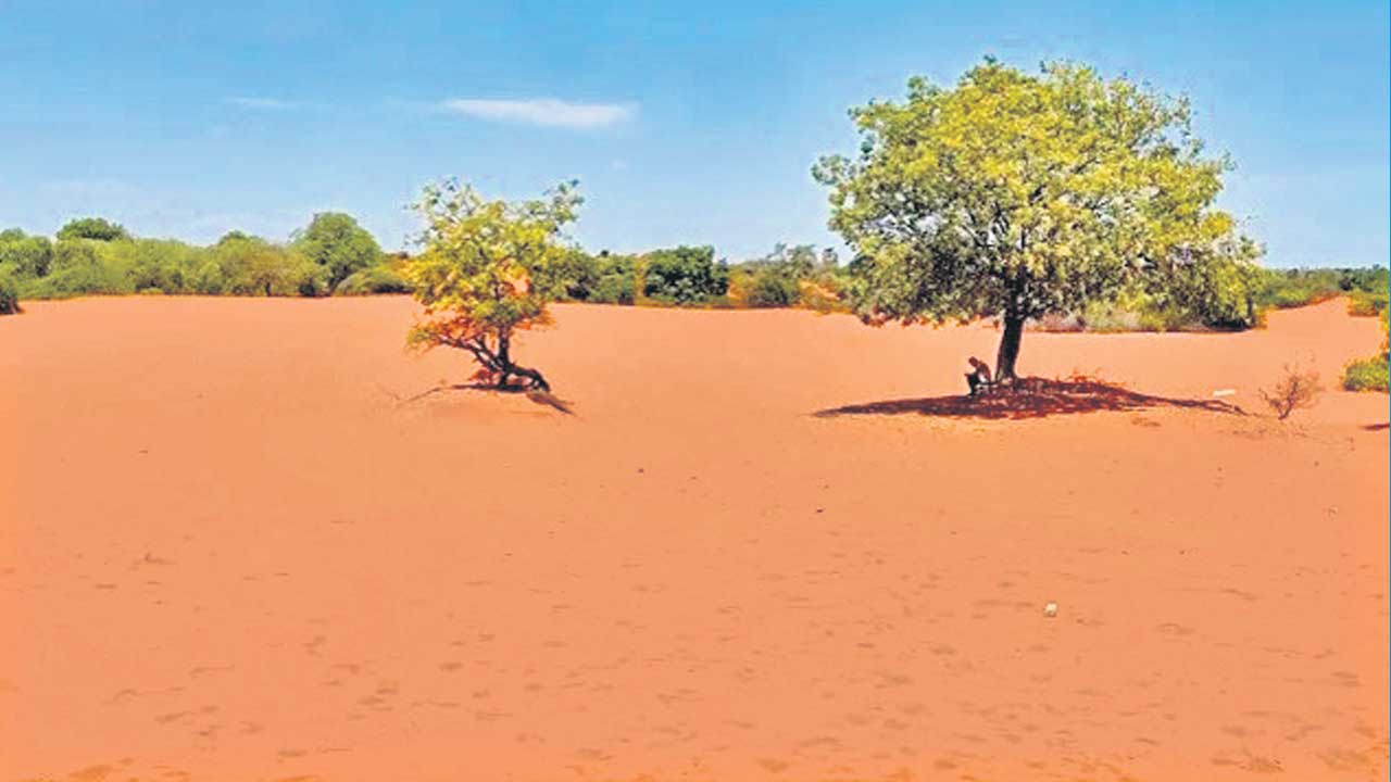 Kudiramolitheri