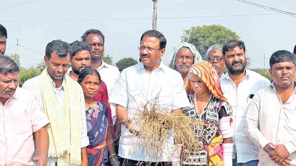 Lakshma Reddy