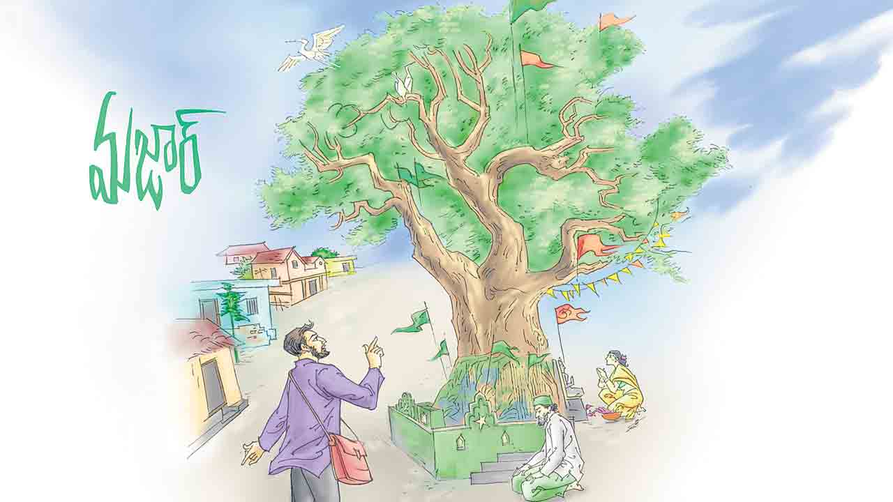 మజార్‌