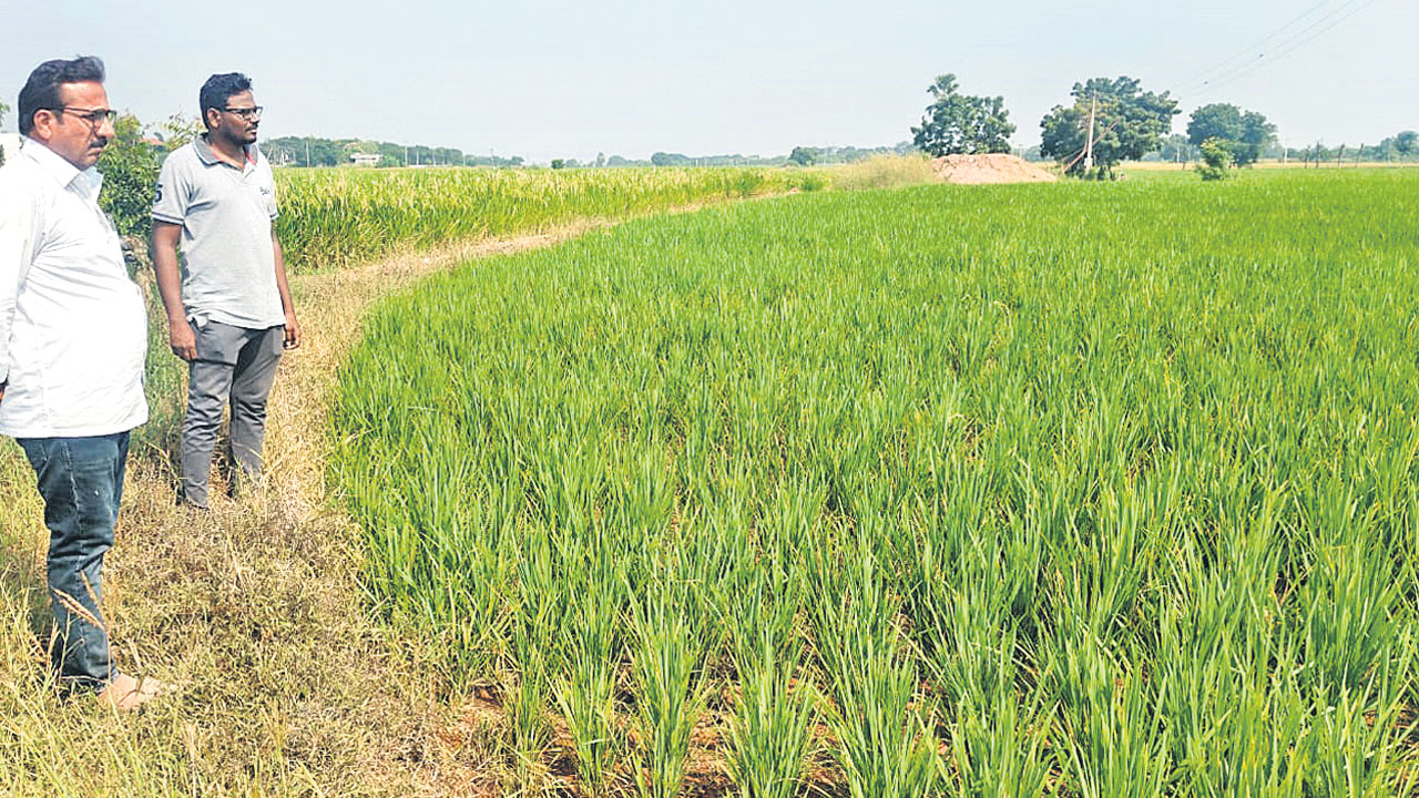 కరెంట్‌ కోతలపై అధికారుల ఆరా