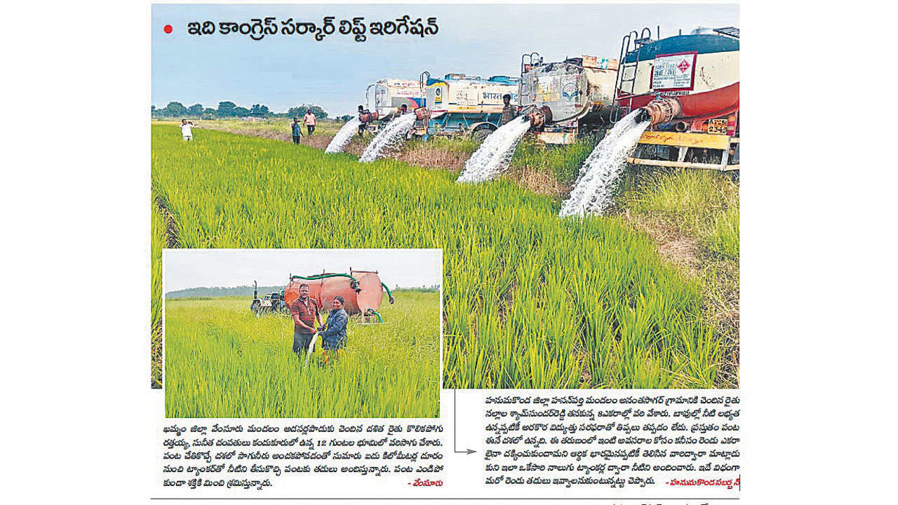 Paddy2