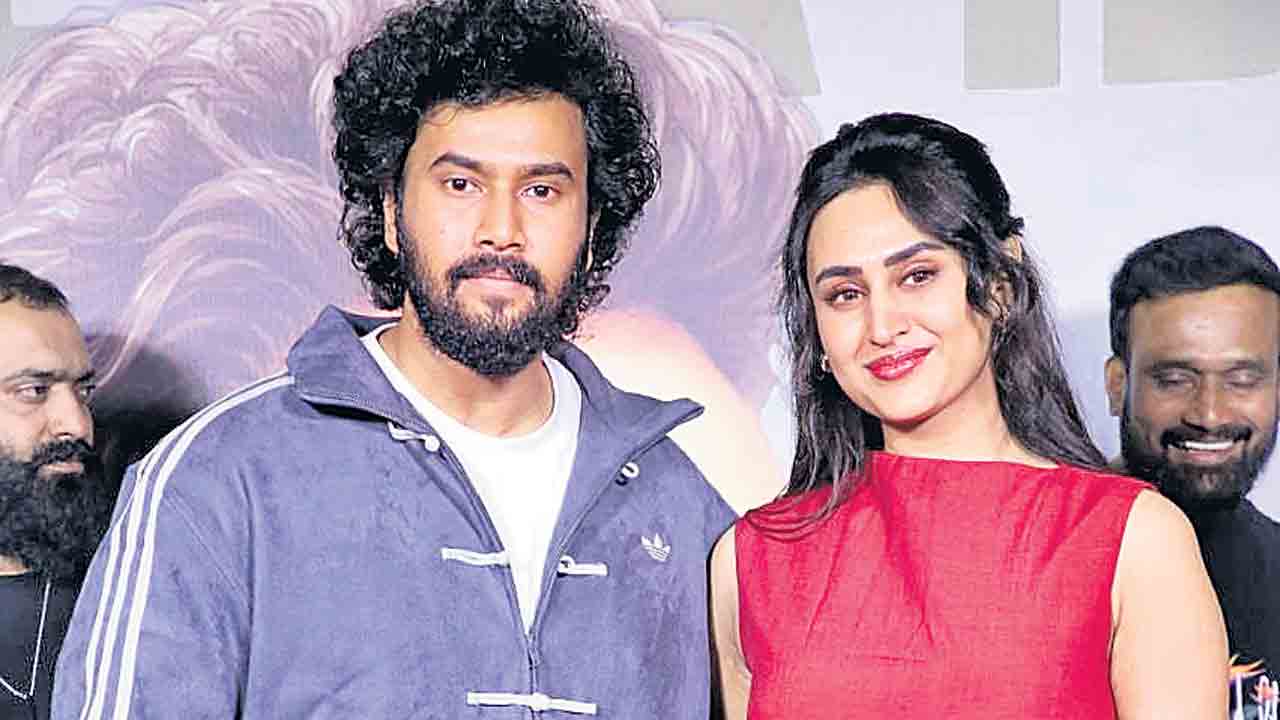 మిస్టరీ ఇన్వెస్టిగేటివ్‌ థ్రిల్లర్‌