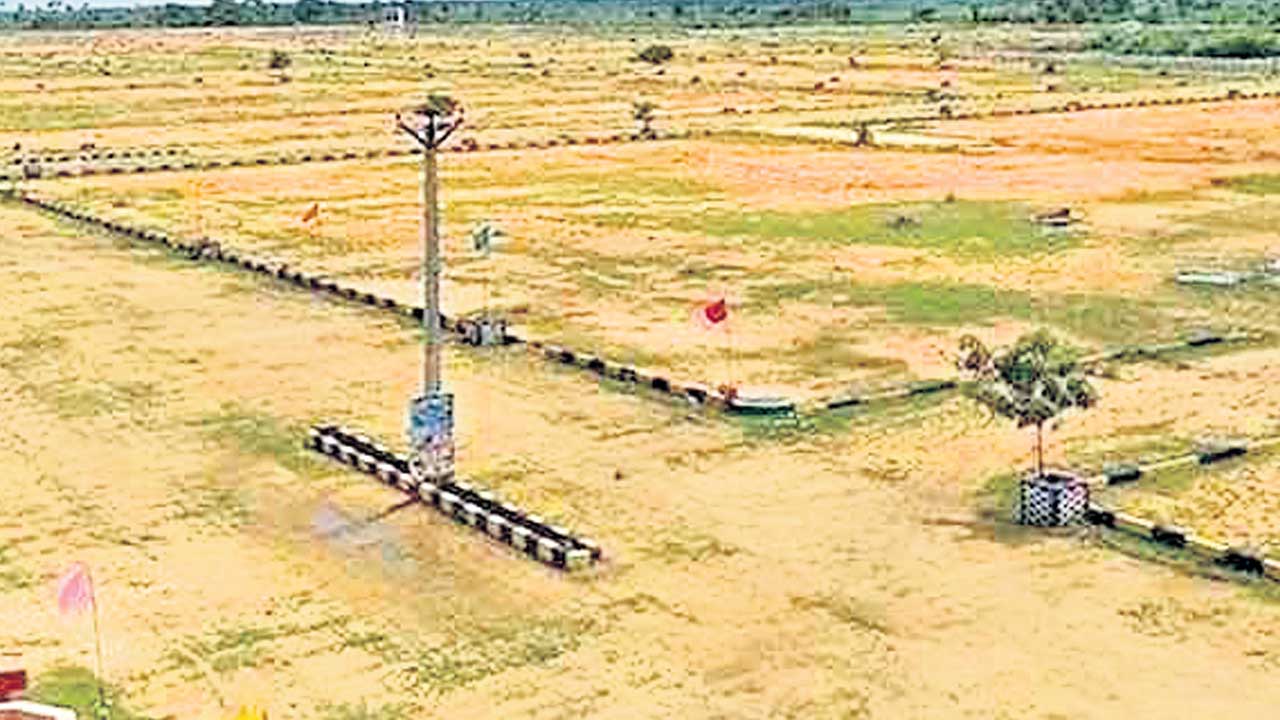 రియల్‌ వృద్ధి