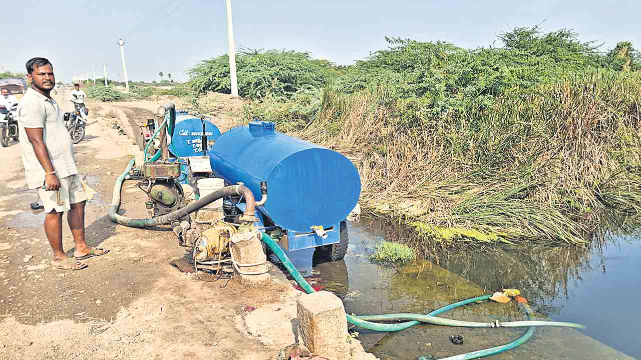 పంటలకు మురుగు నీరే దిక్కు