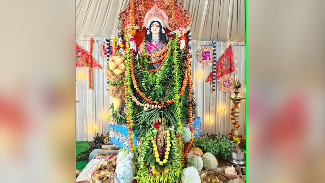 Shakambari Devi | శాకాంబరీదేవిగా వేయిస్తంభాల రుద్రేశ్వరీదేవి దర్శనం