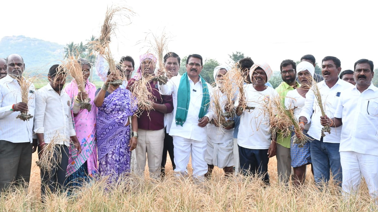 Singireddy Niranjan Reddy | రేవంత్ అసమర్థతో హరిగోస పడుతున్న రైతాంగం : మాజీ మంత్రి సింగిరెడ్డి నిరంజన్ రెడ్డి