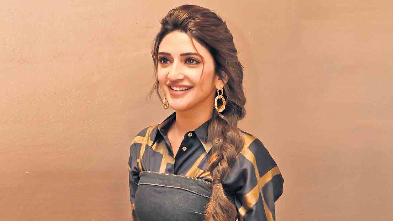బాలీవుడ్‌లో మరో బంపరాఫర్‌