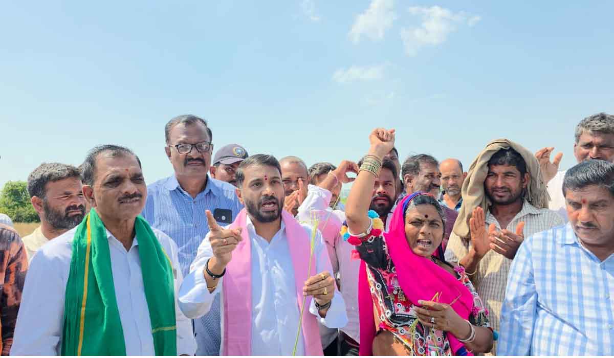 Damaged crop | నష్టపోయిన పంట పొలాలకు పరిహారం చెల్లించాలి.. బీఆర్‌ఎస్‌ నాయకుడు శ్రీనివాసరావు