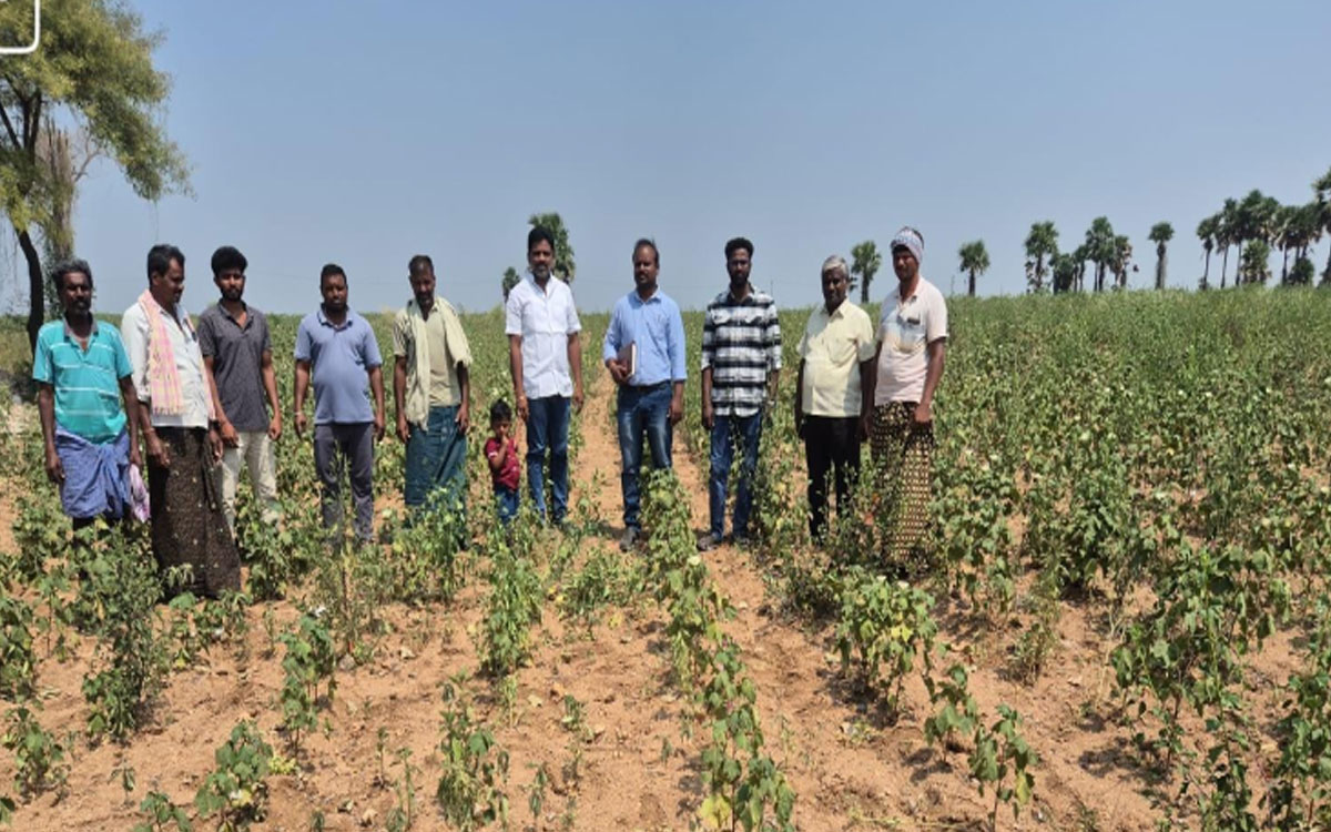 ‘యాసంగిలో రైతులు వరి సాగుకు దూరంగా ఉండాలి’