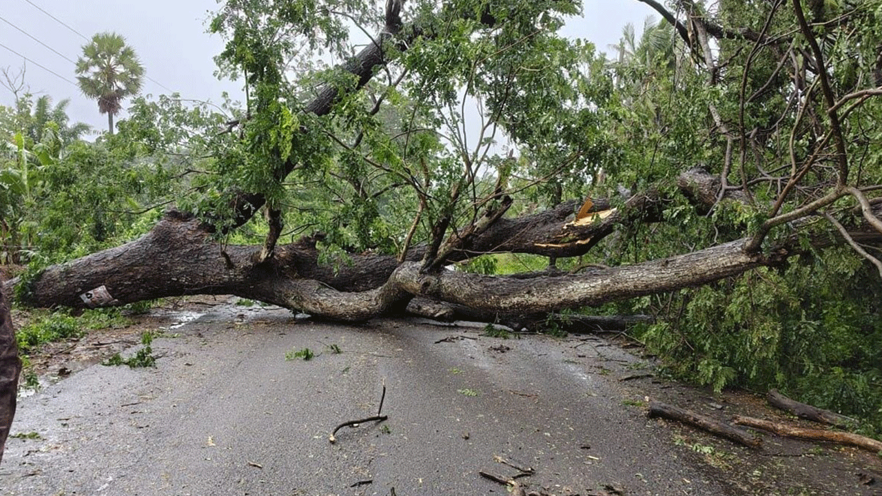 AP news | అర్నబ్ తుపానుతో అత‌లాకుత‌లం.. ఏపీలో నేడూ ఆ జిల్లాల్లో భారీ వర్షాలు