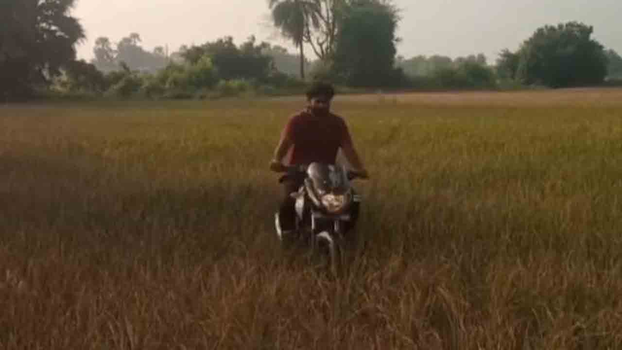 నీళ్లులేక ఎండిన పంటలు.. జయశంకర్ జిల్లాలో యువరైతు వినూత్న నిరసన : వీడియో
