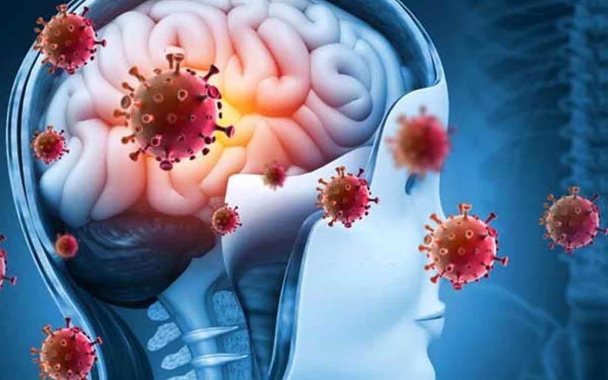 Virus Infections | వైర‌స్ ఇన్ఫెక్ష‌న్ల‌కు, నాడీ క్షీణ‌త‌కు మ‌ధ్య ఏమిటి సంబంధం.. అధ్య‌య‌నాల్లో ఏం తేలింది..?