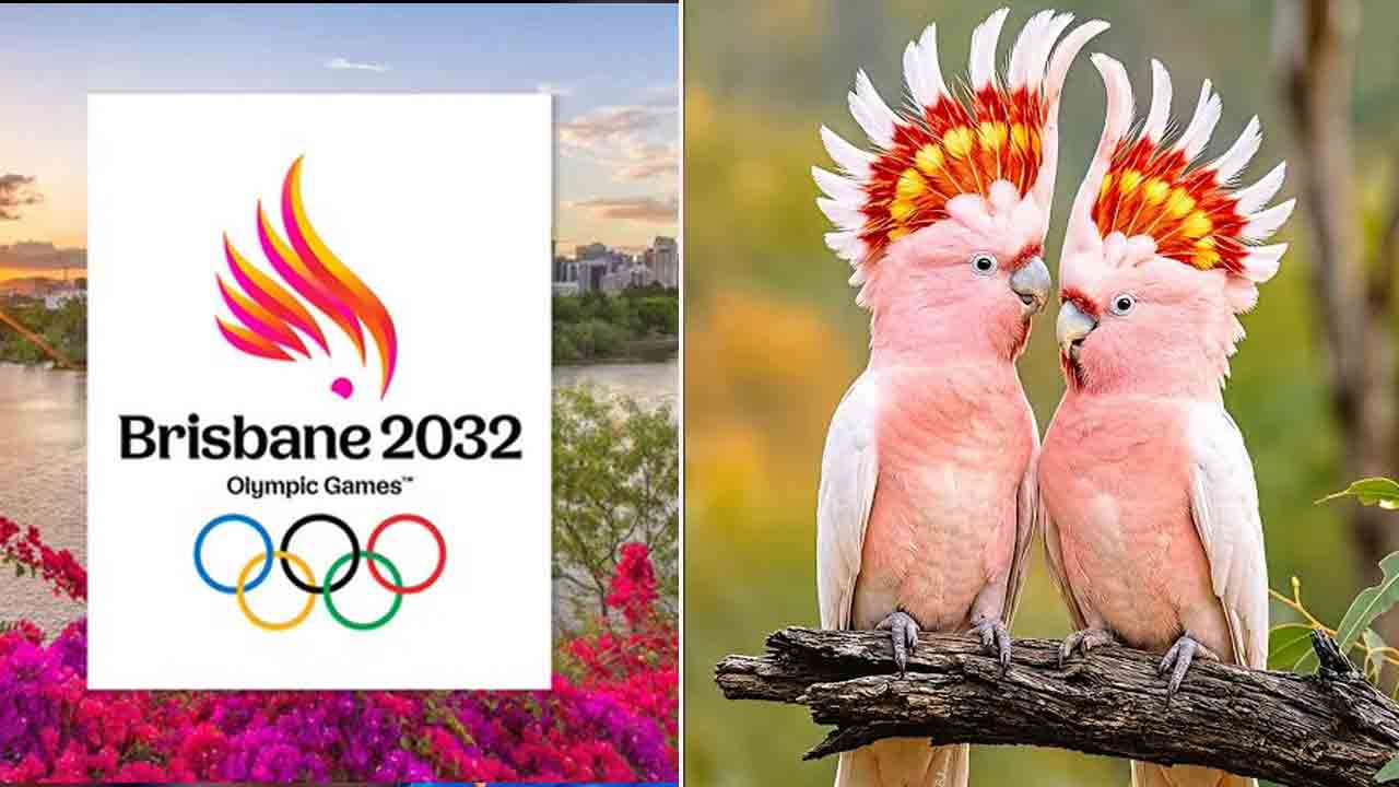 Brisbane Olympics | బ్రిస్బేన్ ఒలింపిక్స్ చిహ్నంగా ‘పింక్ కొకాటూ’.. ఈ పక్షి విశేషాలు తెలుసా?