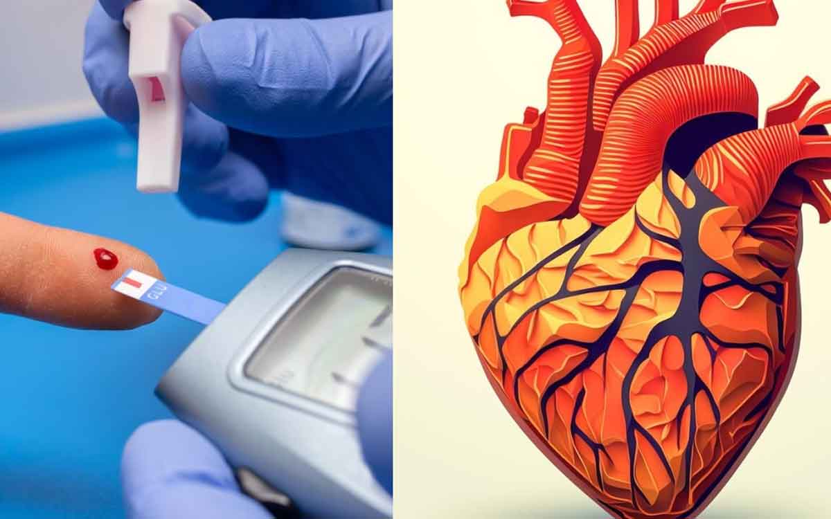 Diabetes | మ‌ధుమేహం ఉన్న‌వారికి గుండె స‌మ‌స్య‌ల ప్ర‌మాదం ఎక్కువ‌.. నిపుణులు ఏం చెబుతున్నారంటే..?