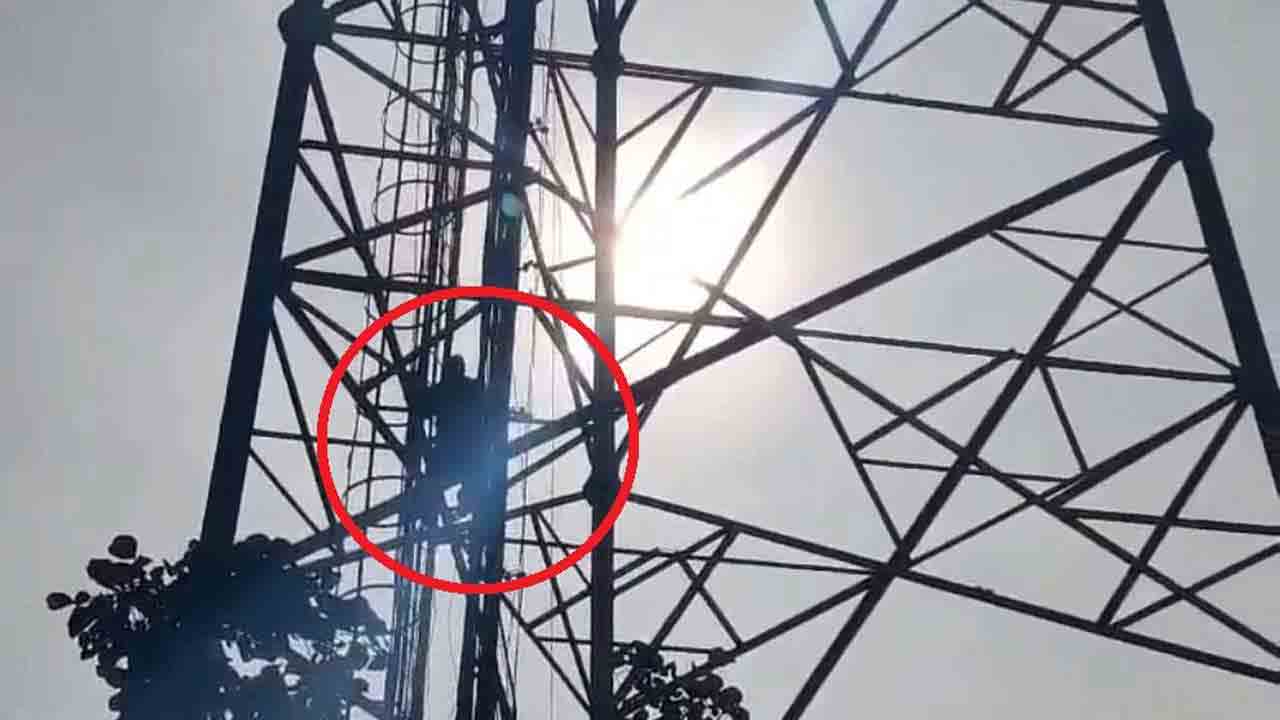 ఇందిరమ్మ ఇల్లు రాలేదని.. పోల్‌ ఎక్కి నిరసన