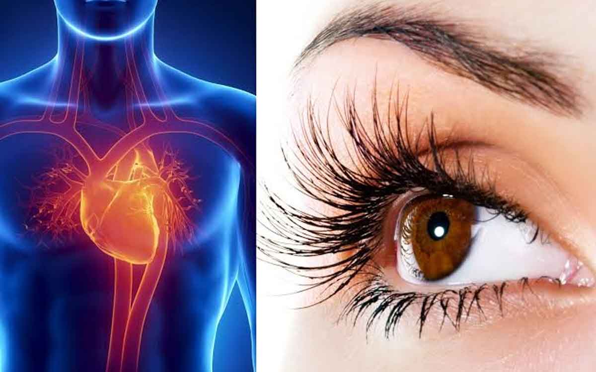 Eyes | కంటి ప‌రీక్ష‌ల‌ను నిర్వ‌హించ‌డం ద్వారా గుండె జ‌బ్బుల‌ను ముందుగానే తెలుసుకోవ‌చ్చా.. అధ్య‌య‌నాల్లో ఏం తేలింది..