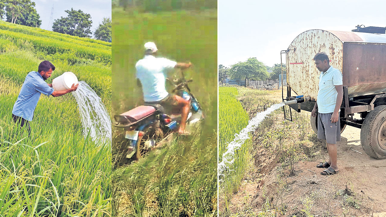 కోరలు చాచుతున్న కరువు!