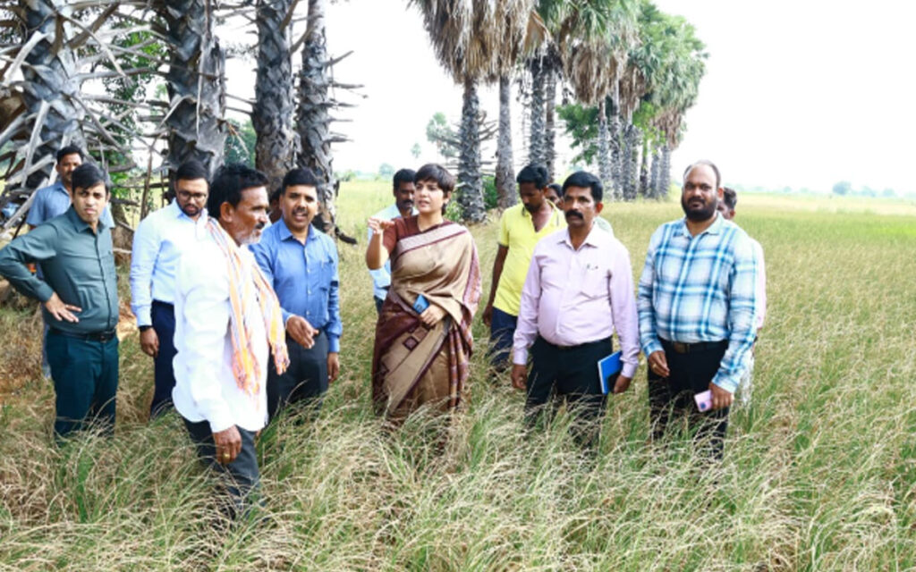 రైతులు యాసంగిలో వ‌రి వేయొద్దు : దాస‌రి హ‌రిచంద‌న‌