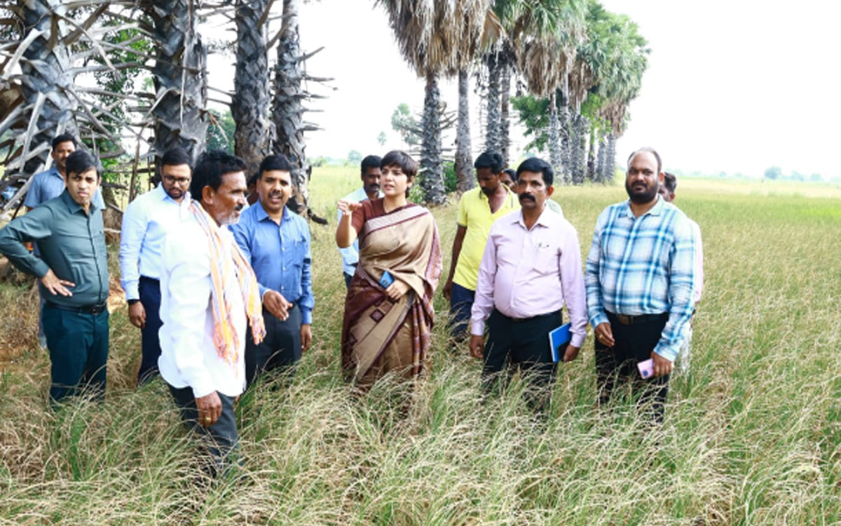 రైతులు యాసంగిలో వ‌రి వేయొద్దు : దాస‌రి హ‌రిచంద‌న‌