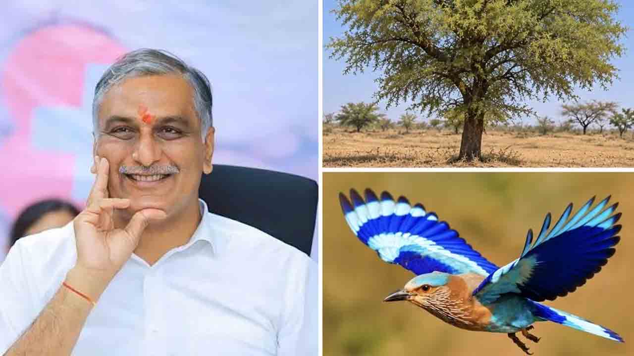 harish rao | చెడుపై మంచి, అధ‌ర్మంపై ధ‌ర్మం సాధించిన విజ‌యానికి ప్ర‌తీక విజ‌య‌ద‌శ‌మి : హ‌రీశ్ రావు
