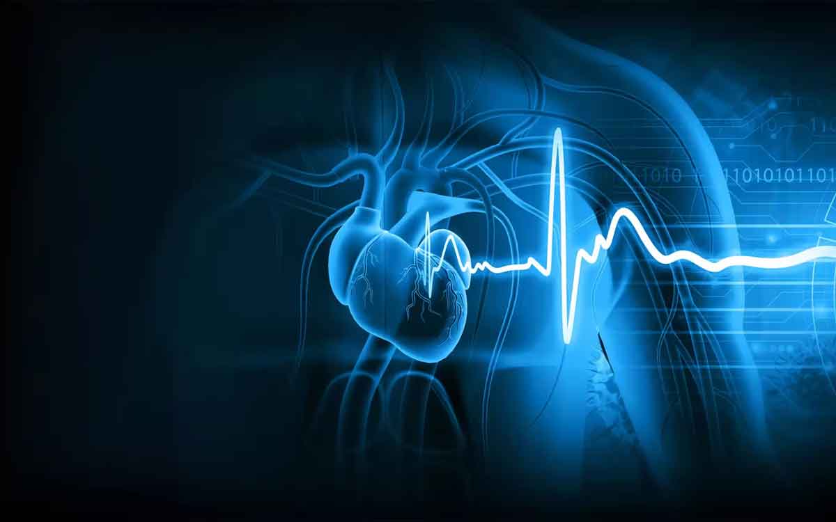 Heart Beat | గుండె స్పంద‌న‌ల వేగం త‌క్కువ‌గా ఉందా.. ఈ ప‌రిస్థితిని ఏమంటారు.. ఏం చేయాలి..?