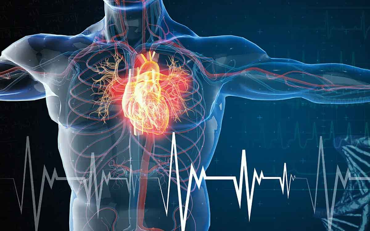 Heart Diseases | గుండె జ‌బ్బులు వ‌చ్చే ముందు అంద‌రిలోనూ ల‌క్ష‌ణాలు ఒకేలా ఉండ‌వు.. ఎలా గుర్తించాలి..