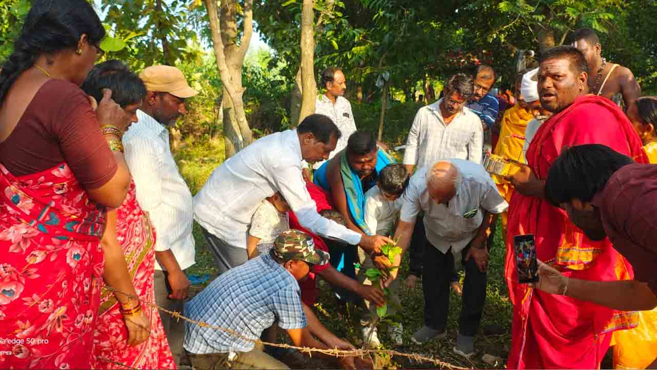 కోట మైసమ్మ ఆలయ ప్రాంగణంలో మొక్కలు నాటిన విశ్వామిత్ర చౌహాన్